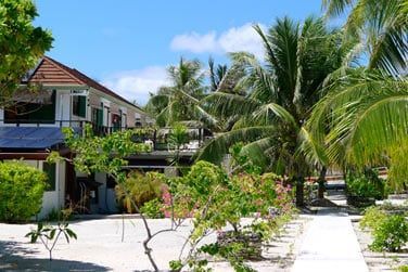 Au coeur du jardin tropical