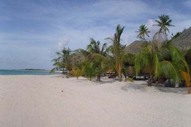 Au bord d'une superbe plage de sable blanc