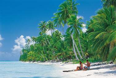 Profitez de ce lieu pour vous ressourcer et vous dconnecter  l'ombre d'un cocotier !