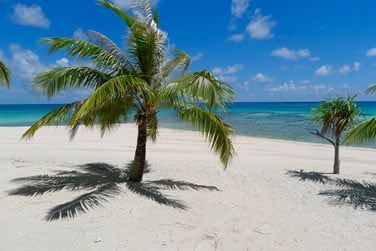 Un vritable dcor paradisiaque