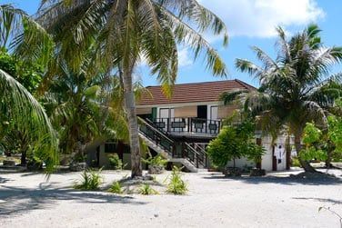 Entour par une jolie cocoteraie...