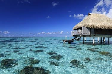 Le Bungalow Pilotis Premium Panoramique, avec une vue totalement dgage sur le lagon !