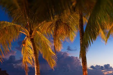 D'un dner romantique sur la plage