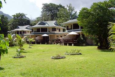 Dissmines dans un superbe jardin luxuriant