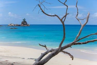 Un vrai petit coin de paradis...