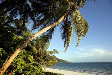 L'htel est situ sur la magnifique plage de sable blanc de Grande Anse sur l'le de Praslin