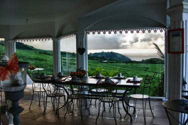 Entoure de champs de canne  sucre