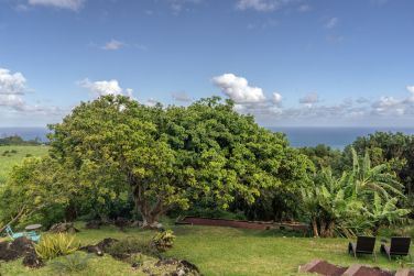 Vue extrieure de l'htel La Plantation avec sa jungle tropicale l'entourant