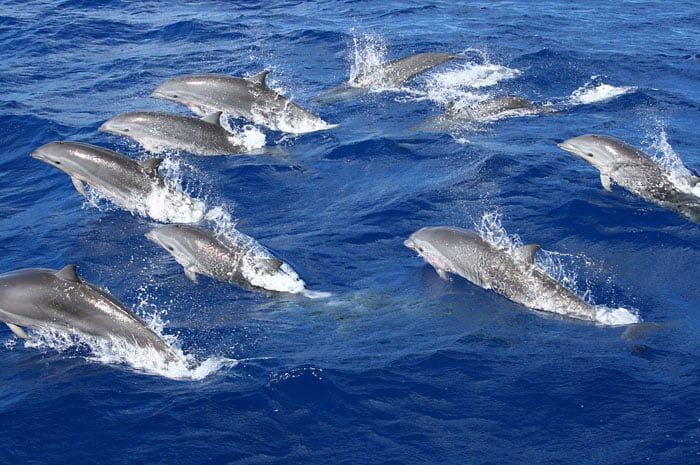 Et ferez peut-tre de belles rencontres...