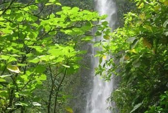 Une nature gnreuse et sauvage