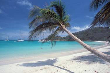 A bord d'un confortable catamaran,