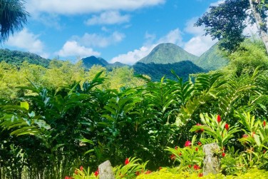 photo Croisire Dream Grenadines Premium + extension Martinique Martinique