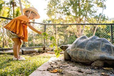 photo Kempinski Seychelles Resort Seychelles