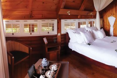 photo Lodge Roche Tamarin Runion