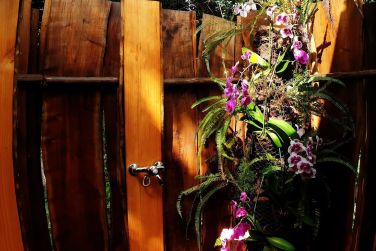 photo Lodge Roche Tamarin Runion