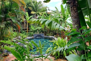 photo Lodge Roche Tamarin Runion