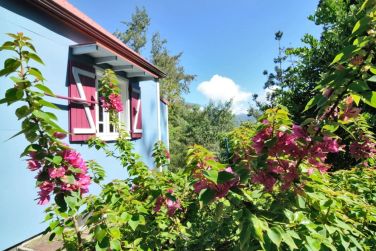 photo Jardin d'Heva Runion