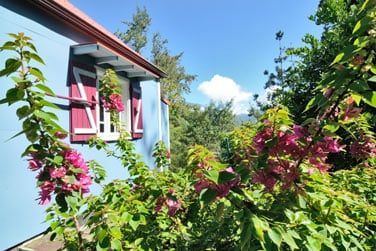 Fleurs et vgtaion tropicale entoure les bungalows...