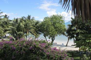 Profitez de votre sjour  l'htel L'Archipel pour profiter de la vgtation luxuriante tropicale !