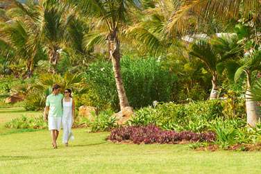 La vgtation luxuriante de l'htel