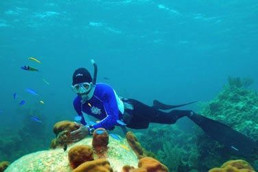 Ou laissez-vous tenter par une plonge en mer