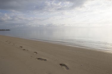 Puis envolez-vous vers un autre monde...