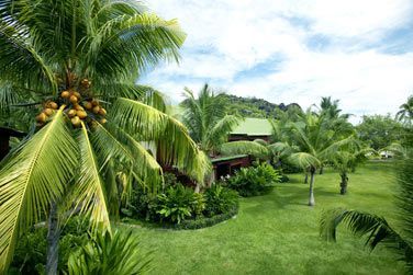 Le Paradise Sun vous offre un dcor tropical magnifique sous une flore luxuriante