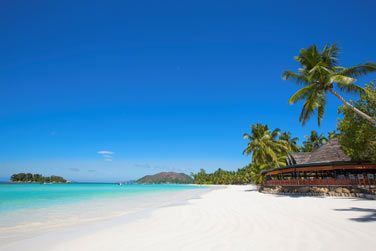 Une plage de sable blanc, quelques cocotiers et un soleil  son znit ! Que demander de plus