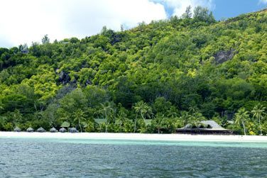 Verdure luxuriante et tropicale au coeur de Praslin