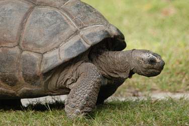 O les lieux sont magiques ..