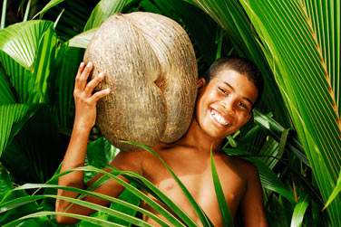 Bienvenue dans nos les des Seychelles ..