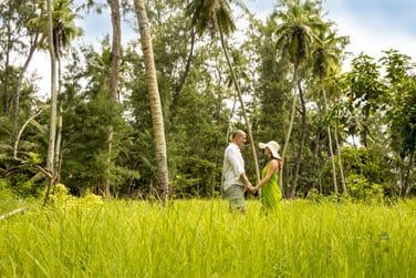 Dcouvrez une vgtation luxuriante