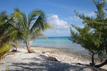 Et que la seule chose qui vous restait  faire ..