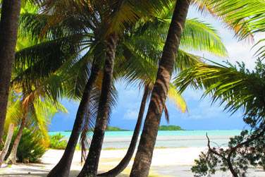 Prenez le temps de dcouvrir Rangiroa ..