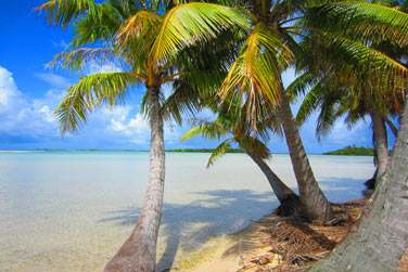 avec toutes les excursions qui s'offrent  vous ..