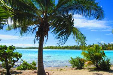 ou encore du ct de l'ile aux Rcifs ..