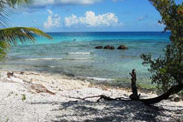 Au bord d'une petite plage de corail..