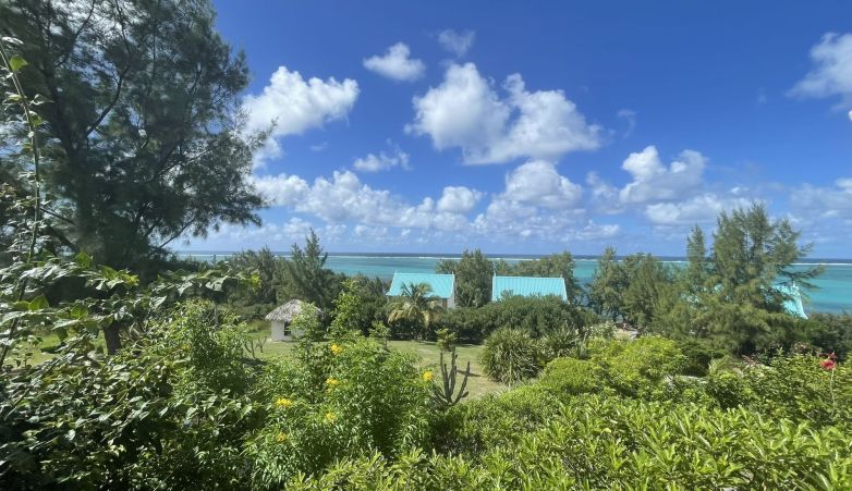 La Belle Rodriguaise