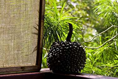 Le bungalow Bougresse