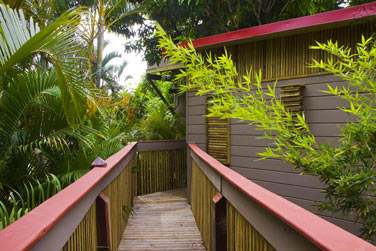 La Cabane de Dimitri