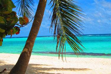 Les plages de Marie-Galante sont tout simplement sublimes...