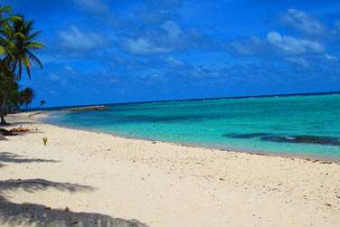 Regardez comme c'est beau !