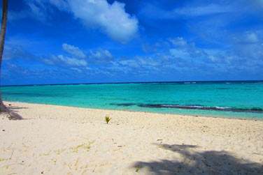 Bonne baignade sur les plages de la Feuillre et de Petite Anse !