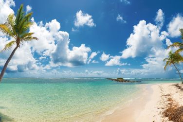 photo Combin Basse-Terre / Les Saintes - Authentik Guadeloupe