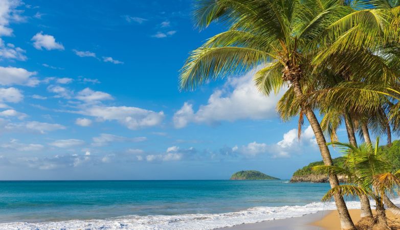 Combin Basse-Terre / Les Saintes - Authentik