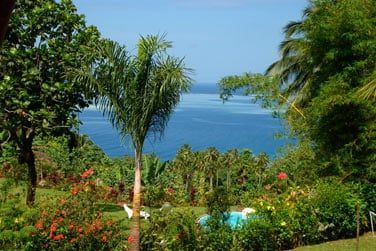 La piscine au coeur du jardin avec vue sur la mer