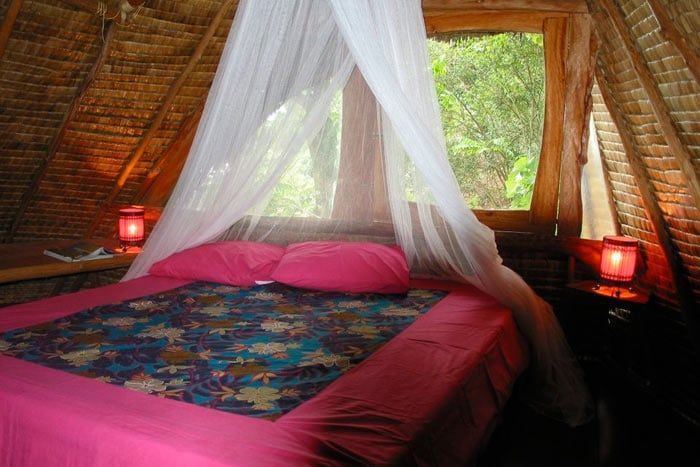 photo vanira lodge