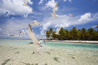 L'ile au sable rose...