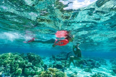 Et de d�couvertes pour les petits et les grands