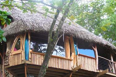 C'est au Vanira Lodge que vous sjournez...